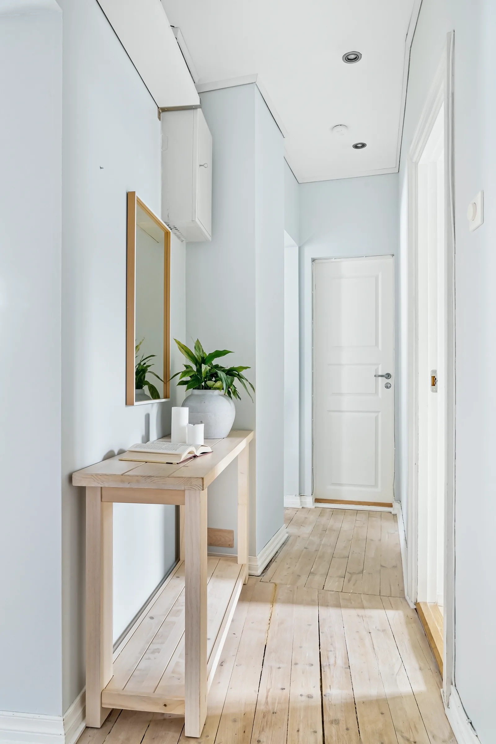 Heller Hausflur mit Spiegel, Kommode und einer Grünpflanze.