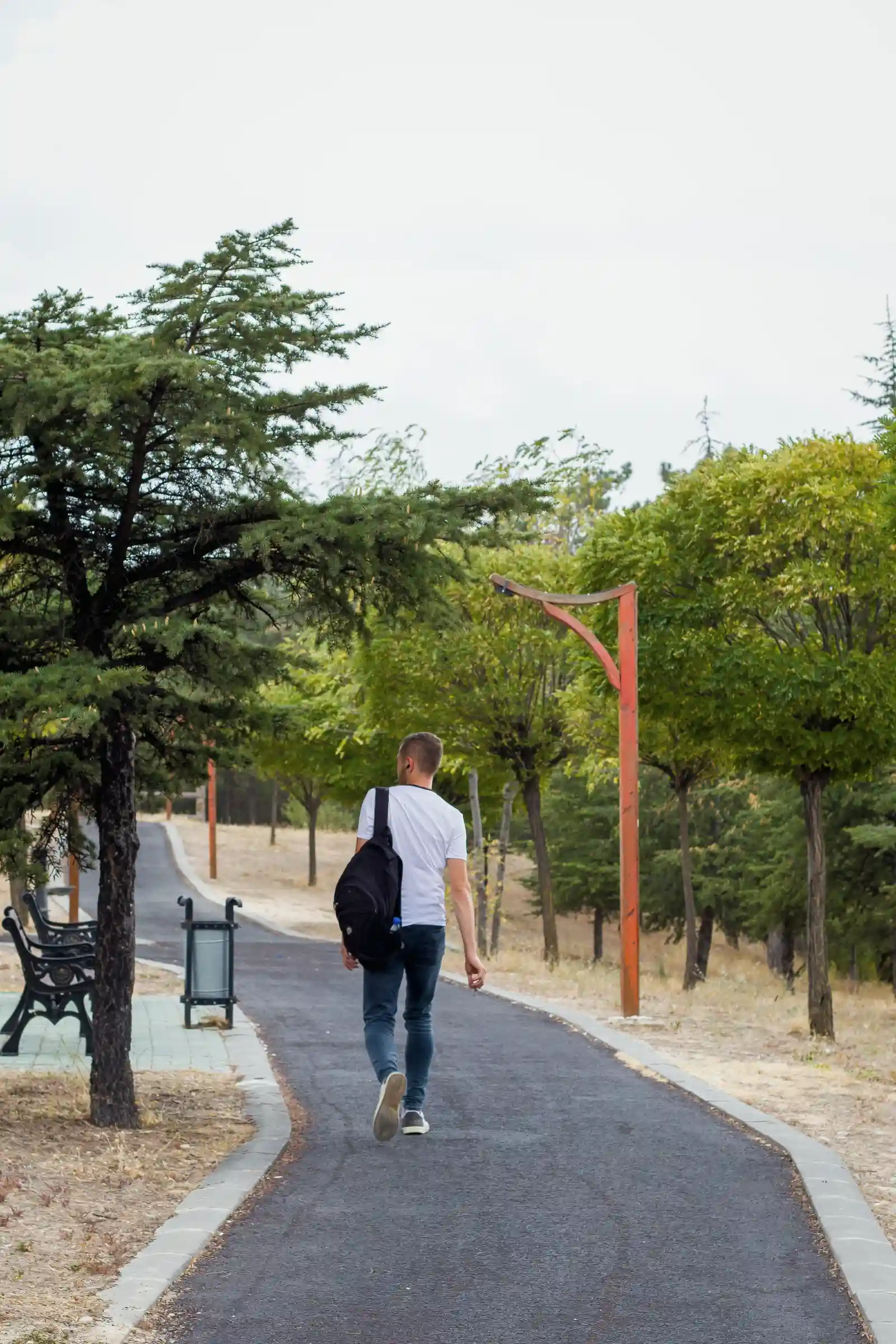 Person mit Rucksack geht von hinten gesehen einen Weg durch einen Park entlang.
