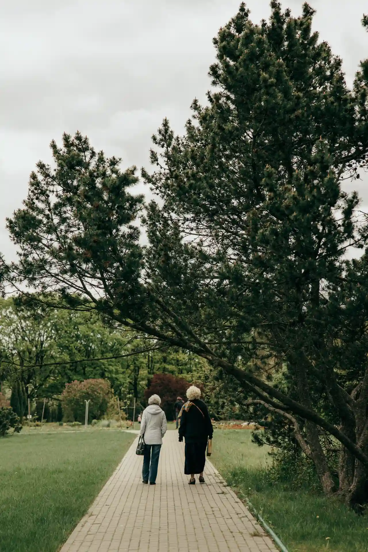 Zwei ältere Frauen gehen von hinten gesehen auf einem Weg durch einen Park.